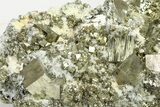 Gleaming Pyrite Crystals with Chalcopyrite and Quartz - Peru #325626-1
